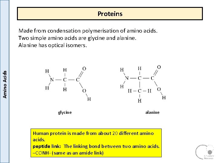 Proteins Amino Acids Made from condensation polymerisation of amino acids. Two simple amino acids Proteins Amino Acids Made from condensation polymerisation of amino acids. Two simple amino acids