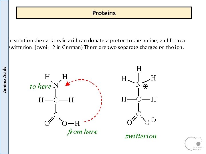 Proteins Amino Acids In solution the carboxylic acid can donate a proton to the Proteins Amino Acids In solution the carboxylic acid can donate a proton to the