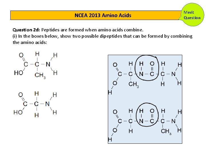 NCEA 2013 Amino Acids Merit Question 2 d: Peptides are formed when amino acids NCEA 2013 Amino Acids Merit Question 2 d: Peptides are formed when amino acids