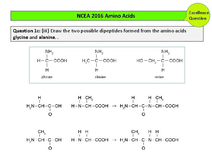 NCEA 2016 Amino Acids Question 1 c: (iii) Draw the two possible dipeptides formed NCEA 2016 Amino Acids Question 1 c: (iii) Draw the two possible dipeptides formed