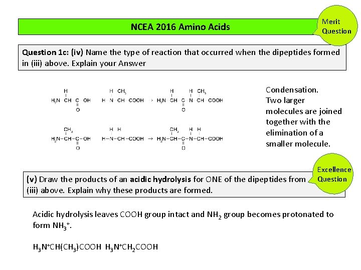 Merit Question NCEA 2016 Amino Acids Question 1 c: (iv) Name the type of Merit Question NCEA 2016 Amino Acids Question 1 c: (iv) Name the type of