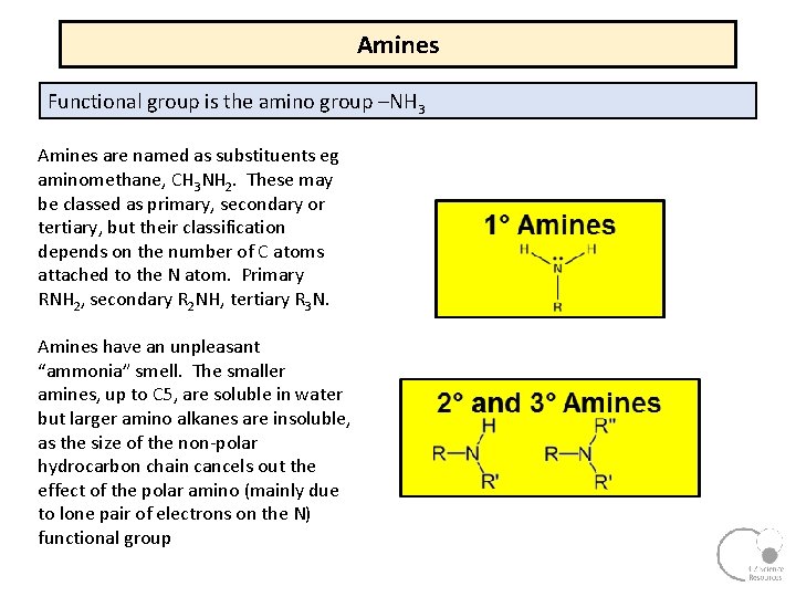 Amines Functional group is the amino group –NH 3 Amines are named as substituents Amines Functional group is the amino group –NH 3 Amines are named as substituents