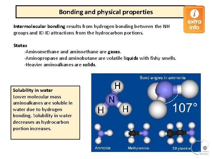 Bonding and physical properties Intermolecular bonding results from hydrogen bonding between the NH groups Bonding and physical properties Intermolecular bonding results from hydrogen bonding between the NH groups