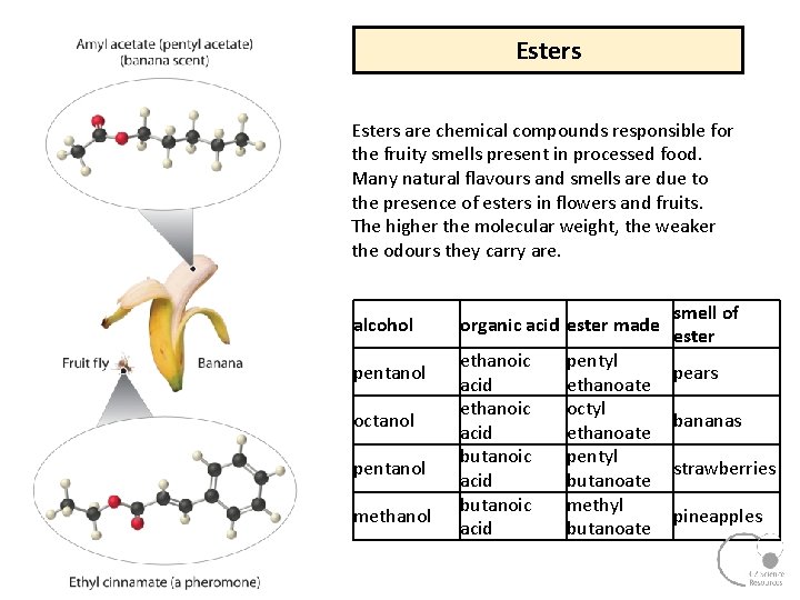 Esters are chemical compounds responsible for the fruity smells present in processed food. Many Esters are chemical compounds responsible for the fruity smells present in processed food. Many