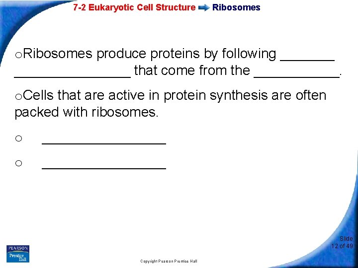 7 -2 Eukaryotic Cell Structure Ribosomes o. Ribosomes produce proteins by following ___________ that