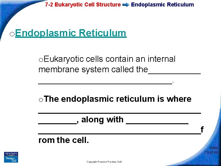 7 -2 Eukaryotic Cell Structure Endoplasmic Reticulum o. Eukaryotic cells contain an internal membrane
