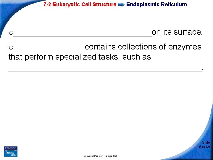 7 -2 Eukaryotic Cell Structure Endoplasmic Reticulum o_______________on its surface. o________ contains collections of