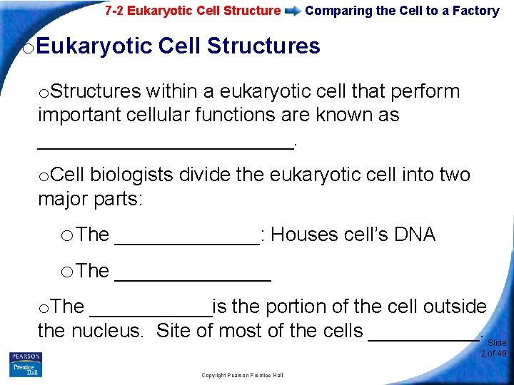 7 -2 Eukaryotic Cell Structure Comparing the Cell to a Factory o. Eukaryotic Cell