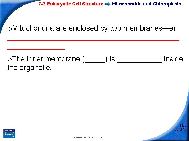 7 -2 Eukaryotic Cell Structure Mitochondria and Chloroplasts o. Mitochondria are enclosed by two