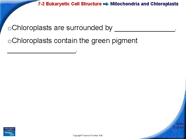 7 -2 Eukaryotic Cell Structure Mitochondria and Chloroplasts o. Chloroplasts are surrounded by ________.