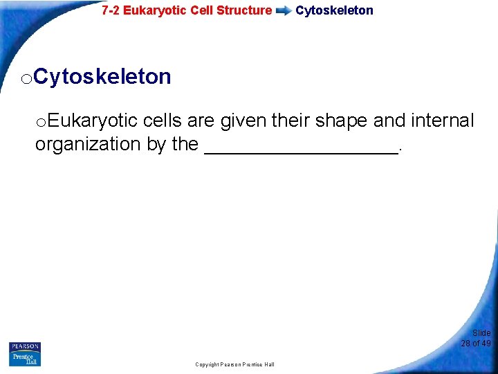 7 -2 Eukaryotic Cell Structure Cytoskeleton o. Eukaryotic cells are given their shape and