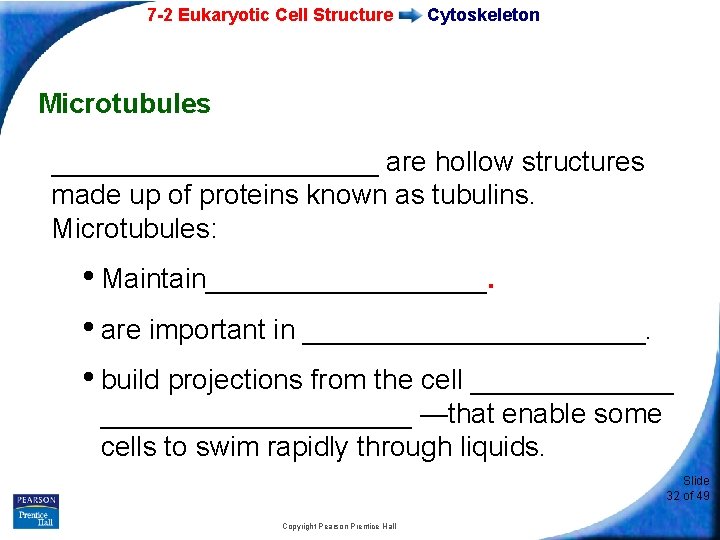 7 -2 Eukaryotic Cell Structure Cytoskeleton Microtubules ___________ are hollow structures made up of