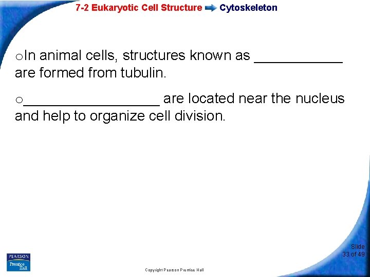 7 -2 Eukaryotic Cell Structure Cytoskeleton o. In animal cells, structures known as ______