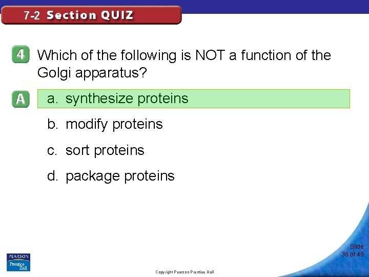 7 -2 Which of the following is NOT a function of the Golgi apparatus?