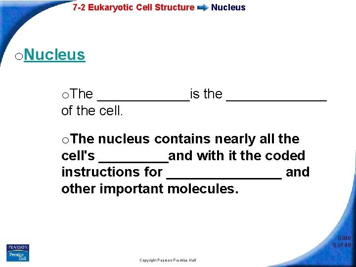 7 -2 Eukaryotic Cell Structure Nucleus o. The ______is the _______ of the cell.