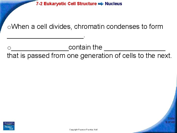 7 -2 Eukaryotic Cell Structure Nucleus o. When a cell divides, chromatin condenses to