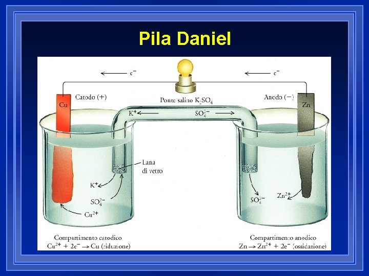 Pila Daniel 