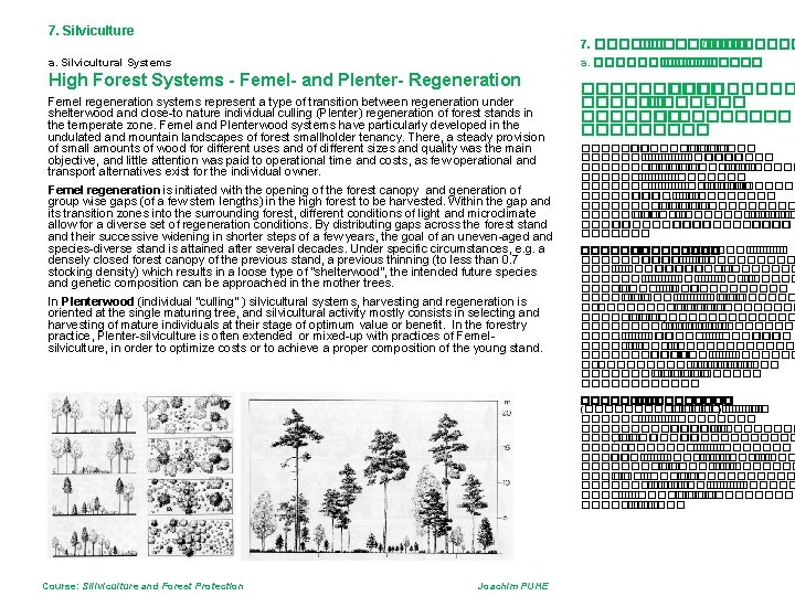 7. Silviculture 7. ��������� /���� a. Silvicultural Systems a. ������ High Forest Systems -