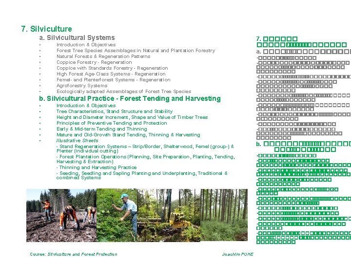 7. Silviculture 5. General and Ecosystems Ecology Cycles 7. Silviculture a. Silvicultural Systems •