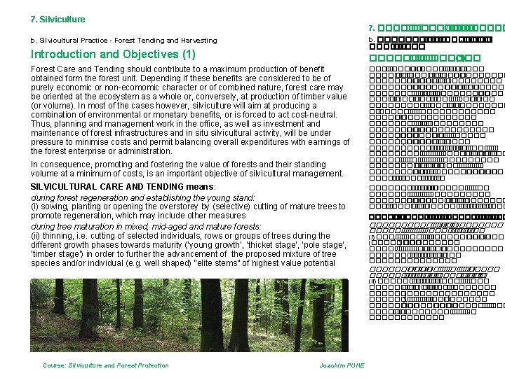 7. Silviculture 7. ��������� /���� b. ���������� -����� b. Silvicultural Practice - Forest Tending
