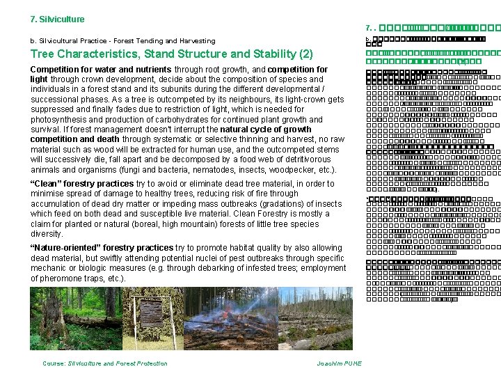 7. Silviculture 7. . ��������� /������� b. Silvicultural Practice - Forest Tending and Harvesting