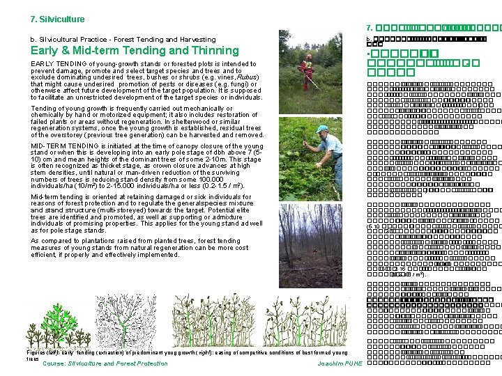 7. Silviculture b. Silvicultural Practice - Forest Tending and Harvesting Early & Mid-term Tending