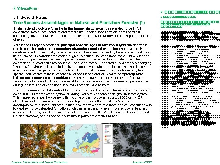 7. Silviculture 7. ��������� /���� a. Silvicultural Systems a. ������ Tree Species Assemblages in