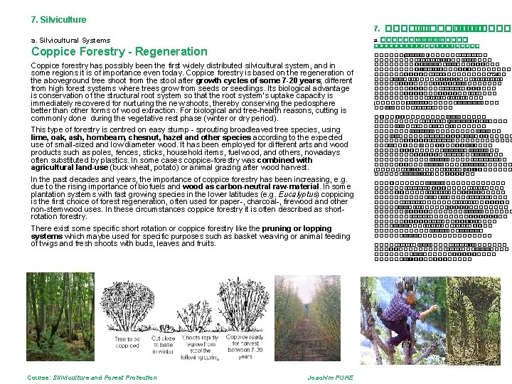 7. Silviculture 7. ��������� /���� a. Silvicultural Systems a. ����������� - ����� Coppice Forestry