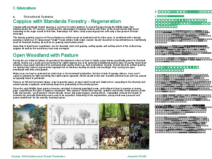 7. Silviculture a. 7 ��������� /���� Silvicultural Systems a. ������ Coppice with Standards Forestry