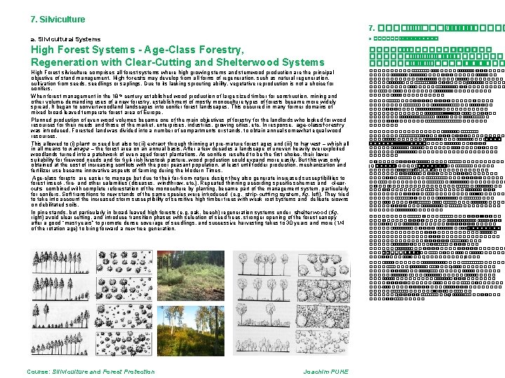 7. Silviculture 7. ��������� /���� a. Silvicultural Systems a. ������ High Forest Systems -