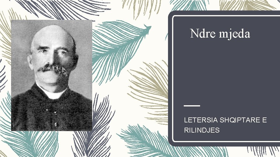 Ndre mjeda LETERSIA SHQIPTARE E RILINDJES Ndre mjeda LETERSIA SHQIPTARE E RILINDJES