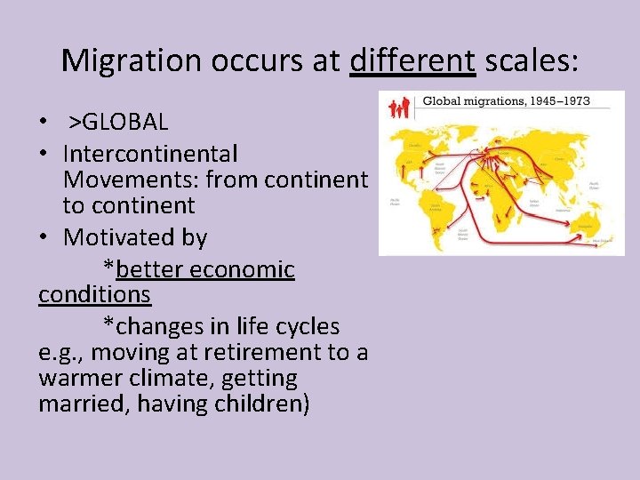 Migration occurs at different scales: • >GLOBAL • Intercontinental Movements: from continent to continent
