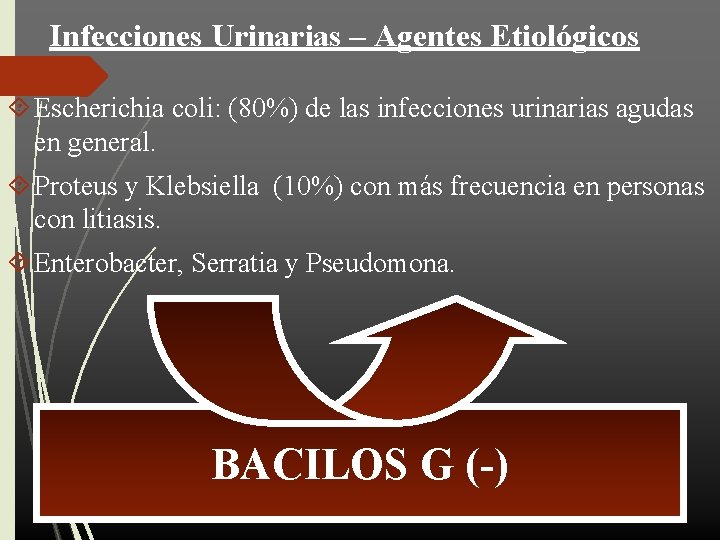 Infecciones Urinarias – Agentes Etiológicos Escherichia coli: (80%) de las infecciones urinarias agudas en