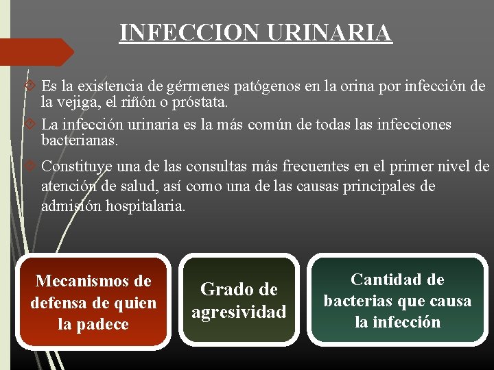 INFECCION URINARIA Es la existencia de gérmenes patógenos en la orina por infección de