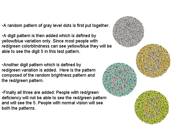  • A random pattern of gray level dots is first put together. •