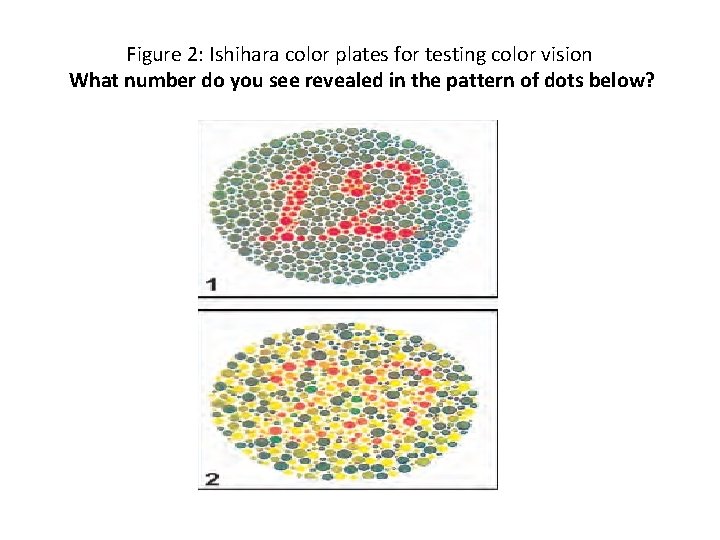 Figure 2: Ishihara color plates for testing color vision What number do you see