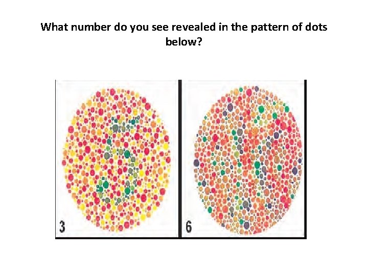 What number do you see revealed in the pattern of dots below? 