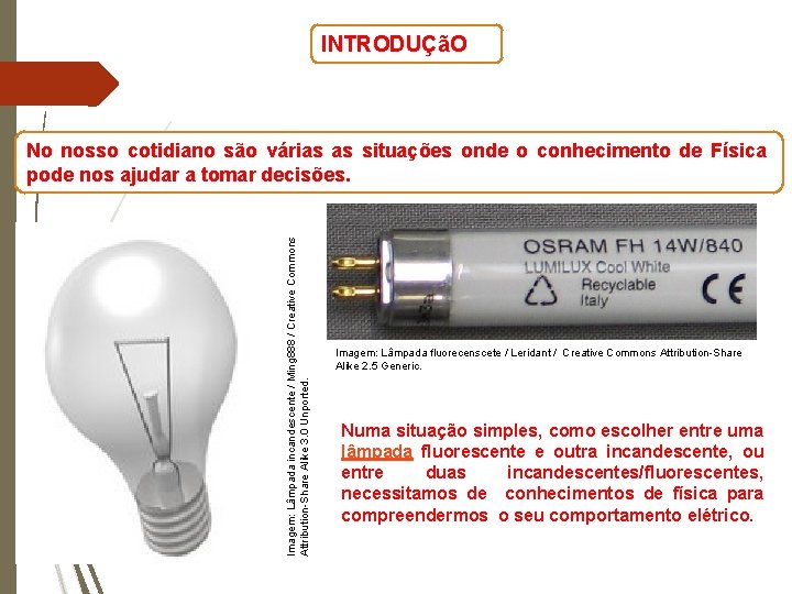 INTRODUÇãO Imagem: Lâmpada incandescente / Ming 888 / Creative Commons Attribution-Share Alike 3. 0