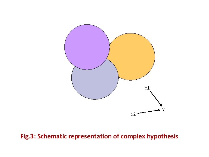 x 1 x 2 y Fig. 3: Schematic representation of complex hypothesis 