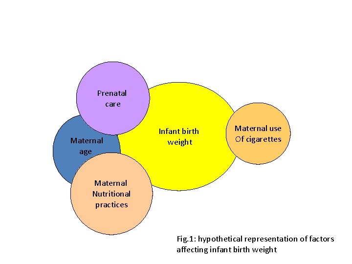 Prenatal care Maternal age Infant birth weight Maternal use Of cigarettes Maternal Nutritional practices Prenatal care Maternal age Infant birth weight Maternal use Of cigarettes Maternal Nutritional practices