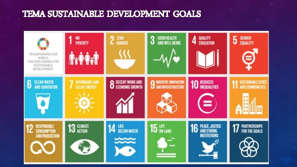 TEMA SUSTAINABLE DEVELOPMENT GOALS 