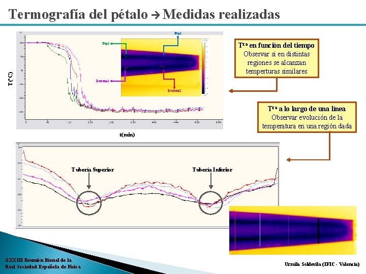Termografía del pétalo Medidas realizadas Top 1 Tra en función del tiempo Observar si Termografía del pétalo Medidas realizadas Top 1 Tra en función del tiempo Observar si