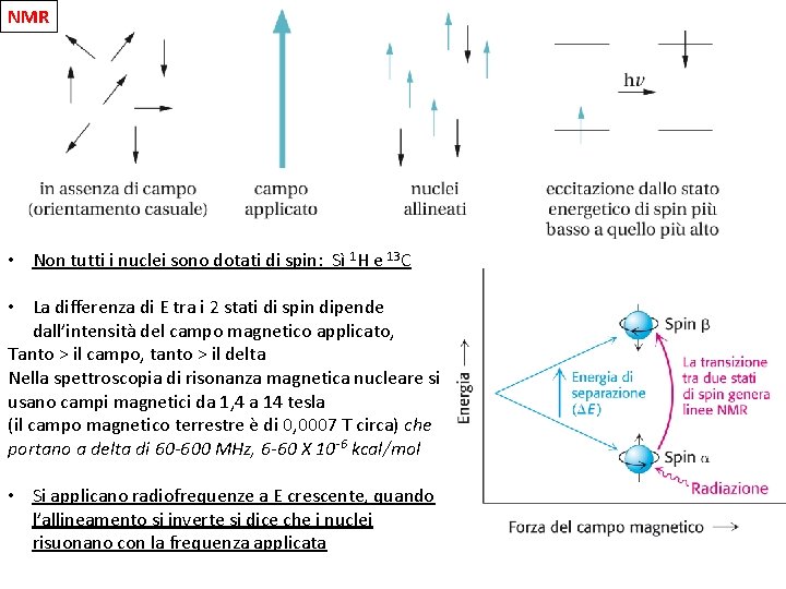 NMR • Non tutti i nuclei sono dotati di spin: Sì 1 H e