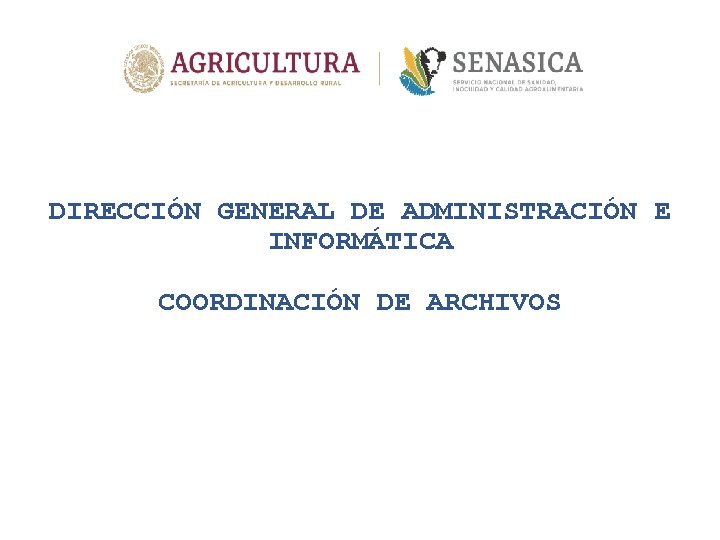 DIRECCIÓN GENERAL DE ADMINISTRACIÓN E INFORMÁTICA COORDINACIÓN DE ARCHIVOS 