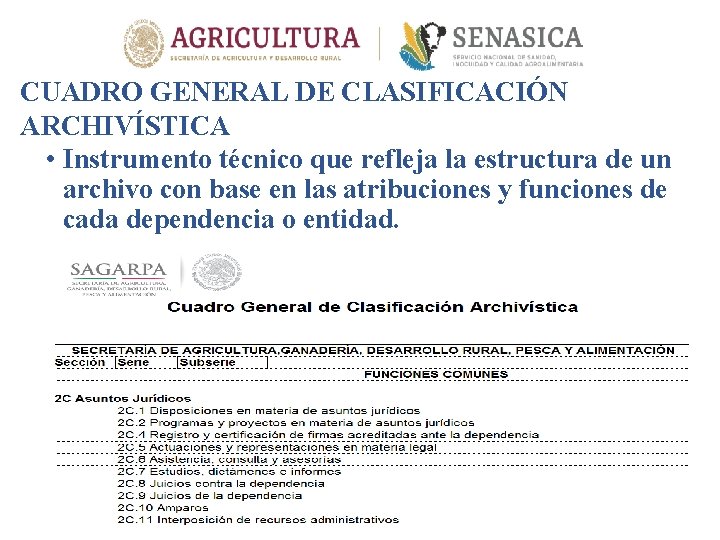 CUADRO GENERAL DE CLASIFICACIÓN ARCHIVÍSTICA • Instrumento técnico que refleja la estructura de un