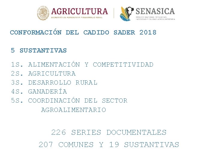 CONFORMACIÓN DEL CADIDO SADER 2018 5 SUSTANTIVAS 1 S. 2 S. 3 S. 4