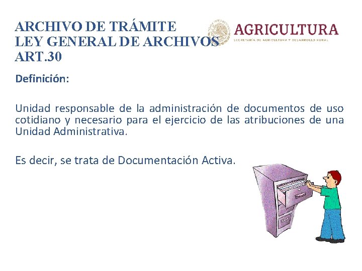 ARCHIVO DE TRÁMITE LEY GENERAL DE ARCHIVOS ART. 30 Definición: Unidad responsable de la