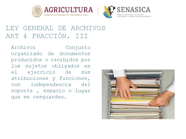 LEY GENERAL DE ARCHIVOS ART 4 FRACCIÓN. III Archivo: Conjunto organizado de documentos producidos