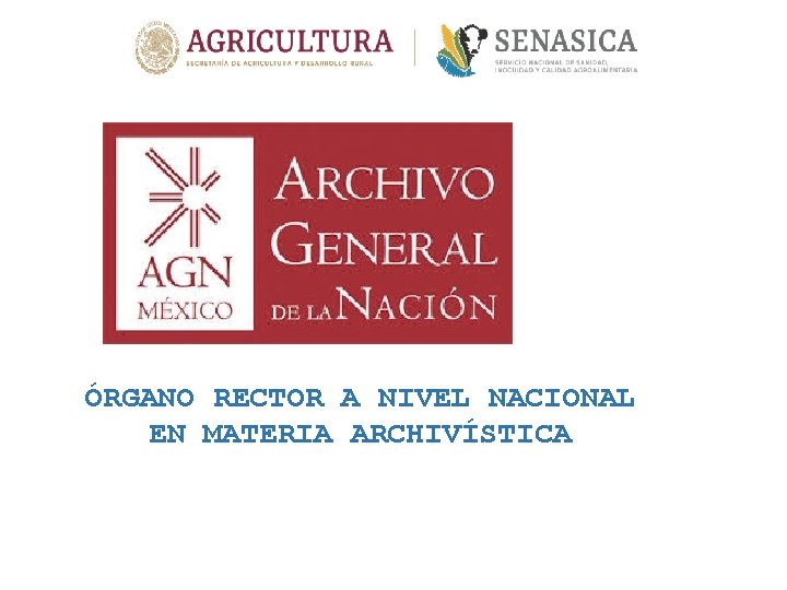 ÓRGANO RECTOR A NIVEL NACIONAL EN MATERIA ARCHIVÍSTICA 