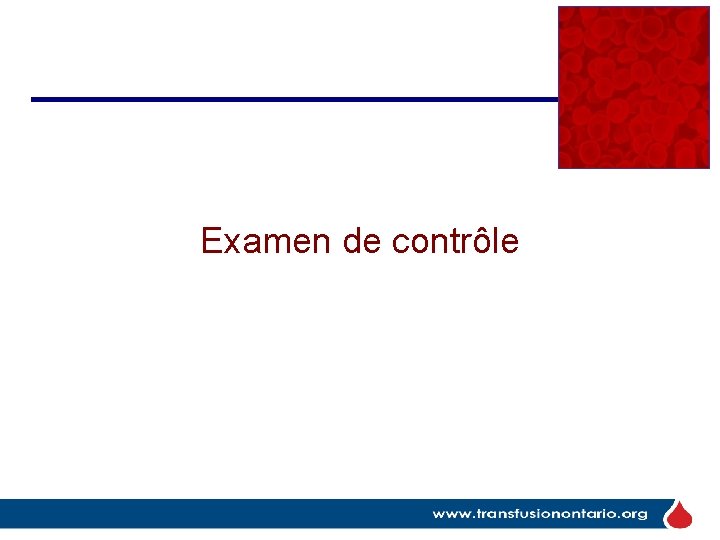 Examen de contrôle 